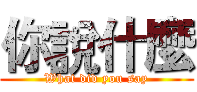 你說什麼 (What did you say)