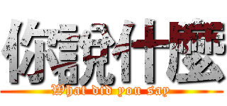 你說什麼 (What did you say)