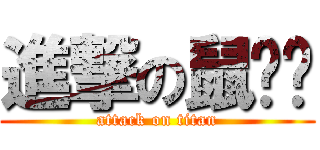 進撃の鼠ß♥ (attack on titan)