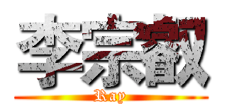 李宗叡 (Ray)
