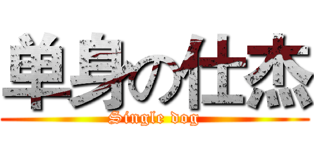 单身の仕杰 (Single dog)