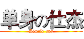 单身の仕杰 (Single dog)