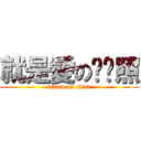 就是愛の趴趴照 (attack on titan)