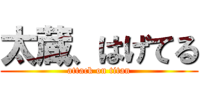 太蔵、はげてる (attack on titan)