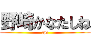 野崎かなたしね (aho)