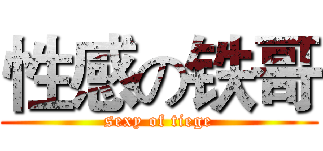 性感の铁哥 (sexy of tiege)