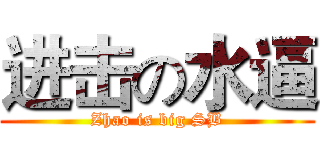 进击の水逼 (Zhao is big SB)