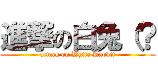 進撃の白兔（？ (attack on White Rabbit)