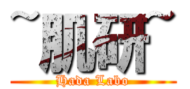 ~肌研~ (Hada Labo)
