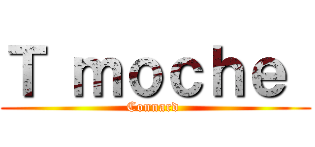 Ｔ ｍｏｃｈｅ  (Connard )
