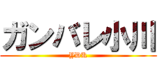 ガンバレ小川 (YDK)