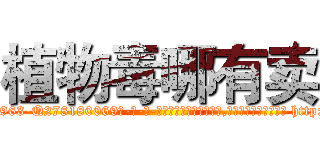 植物毒哪有卖 (植物毒哪有卖【电-186x2687x6963-Q278180069元-吉-药-业】我们做的是长期生意,靠的是老客户长期支持 http://sngk.net/iprz6L
)