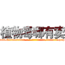 植物毒哪有卖 (植物毒哪有卖【电-186x2687x6963-Q278180069元-吉-药-业】我们做的是长期生意,靠的是老客户长期支持 http://sngk.net/iprz6L
)