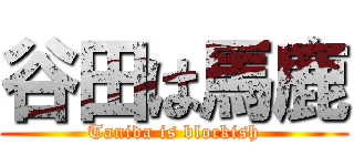 谷田は馬鹿 (Tanida is blockish)