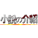 小說の介紹 (動漫)