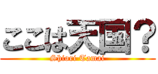ここは天国？ (Shiori Tamai)