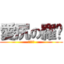 愛尻の羅鑫 (有夠愛尻)