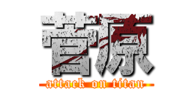 菅原 (attack on titan)
