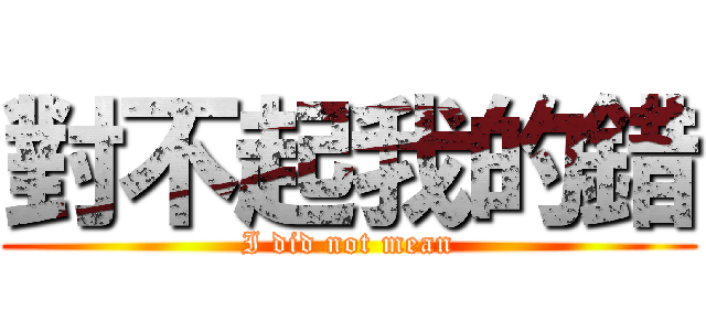 對不起我的錯 (I did not mean)