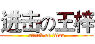 进击の王梓 (attack on titan)