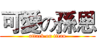 可愛の孫恩 (attack on titan)