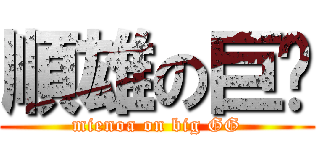 順雄の巨雞 (mienoa on big GG)