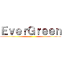 ＥｖｅｒＧｒｅｅｎ (常緑)