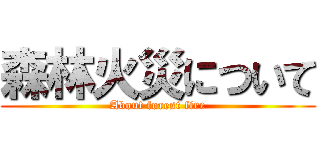 森林火災について (About forest fire)