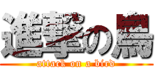 進撃の鳥 (attack on a bird)