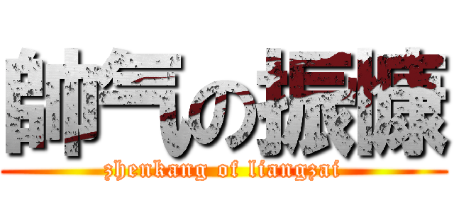 帥气の振慷 (zhenkang of liangzai)