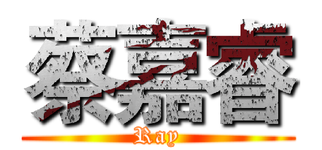 蔡嘉睿 (Ray)
