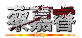 蔡嘉睿 (Ray)