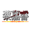 蔡嘉睿 (Ray)