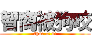 智商被狗咬 (shuo ni ne)