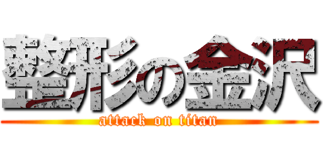 整形の金沢 (attack on titan)