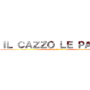 ＩＬ ＣＡＺＺＯ ＬＥ ＰＡＬＬＥ (la figa il culo)