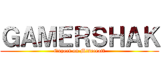 ＧＡＭＥＲＳＨＡＫ (Expert on Minecraft)