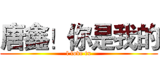 唐鑫！你是我的 (l love tx)