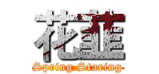 花韮 (Spring Staring)