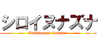 シロイヌナズナ (Arabidopsis thaliana )