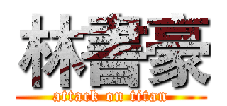 林書豪 (attack on titan)
