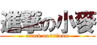 進撃の小麥 (attack on biilonm)