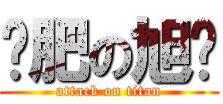 减肥の旭辉 (attack on titan)