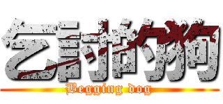 乞討的狗 (Begging dog)