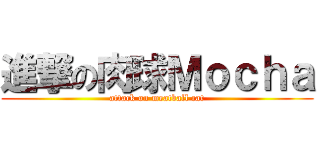 進撃の肉球Ｍｏｃｈａ (attack on meatball cat)