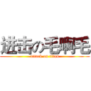 进击の毛啊毛 (attack on titan)