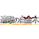 進擊の白金木 (attack on titan)