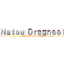 Ｎａｔｓｕ Ｄｒａｇｎｅｅｌ (IT.LHP.Natsu)