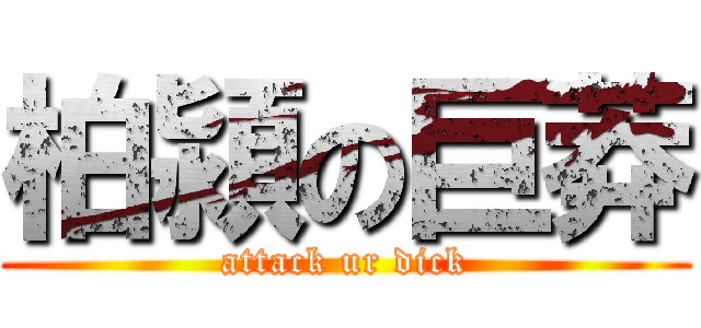 柏潁の巨莽 (attack ur dick)