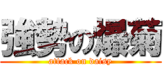 強勢の爆菊 (attack on daisy)
